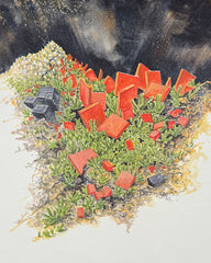 Fred Wilda - Wulfenite, Pyromorphite (Massachusetts) Art Print